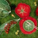 Farfurie pentru paste, 26 cm, Tomate - BORDALLO PINHEIRO