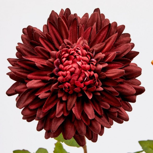 Floare decorativa Crisantemo Glory, galben/burgundy, 60 cm - SIMONA'S Specials
