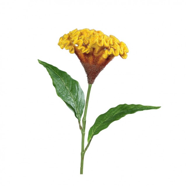 Floare decorativa Celosia, galben, 62 cm - SIMONA'S Specials