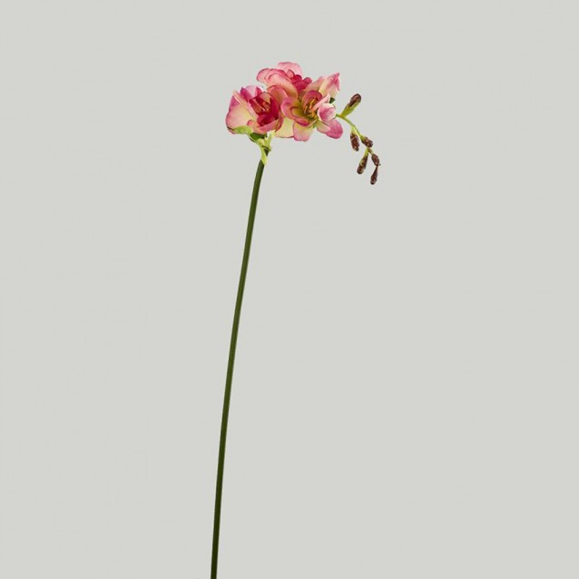 Floare decorativa frezie roz, 56 cm - SIMONA'S Specials