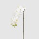 Floare decorativa orhidee Phalaenopsis, alb, 58 cm - SIMONA'S Specials