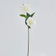 Floare decorativa Gardenia, ivoar, 65 cm - SIMONA'S Specials
