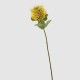 Floare decorativa Protea, galben, 60 cm - SIMONA'S Specials