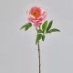 Floare decorativa bujor corai, 55 cm - SIMONA'S Specials