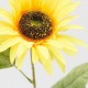 Floarea soarelui decorativa, galben, 70 cm - SIMONA'S Specials