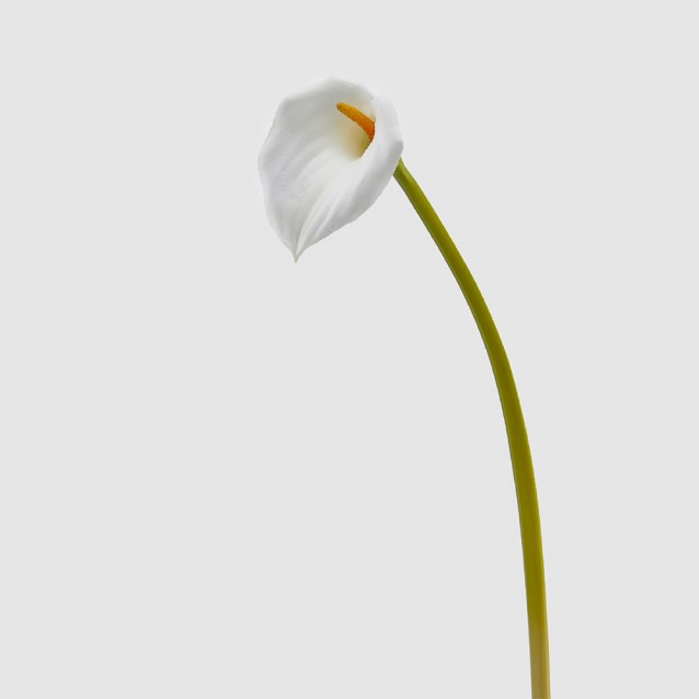 Floare decorativa Calla, alb, 80 cm - SIMONA'S Specials