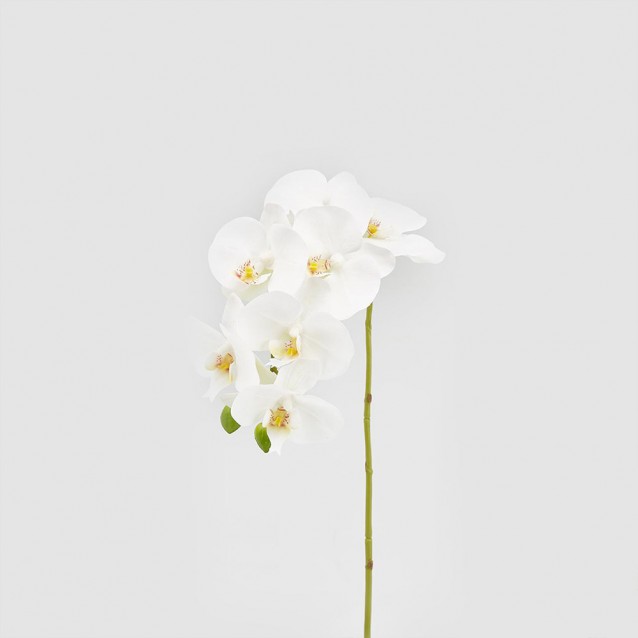 Floare decorativa orhidee Phalaenopsis, alb, 59 cm - SIMONA'S Specials