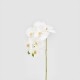 Floare decorativa orhidee Phalaenopsis, alb, 59 cm - SIMONA'S Specials