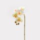 Floare decorativa orhidee Phalaenopsis, galben, 70 cm - SIMONA'S Specials