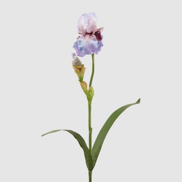 Floare decorativa Iris, lila, 75 cm - SIMONA'S Specials