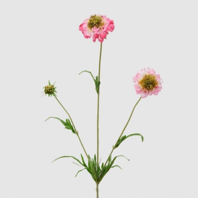 Floare decorativa Scabiosa roz, 65 cm - SIMONA'S Specials