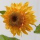 Ramura decorativa floarea soarelui, cu 5 flori galbene, 80 cm - SIMONA'S Specials