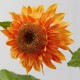 Ramura decorativa floarea soarelui, cu 5 flori portocalii, 80 cm - SIMONA'S Specials