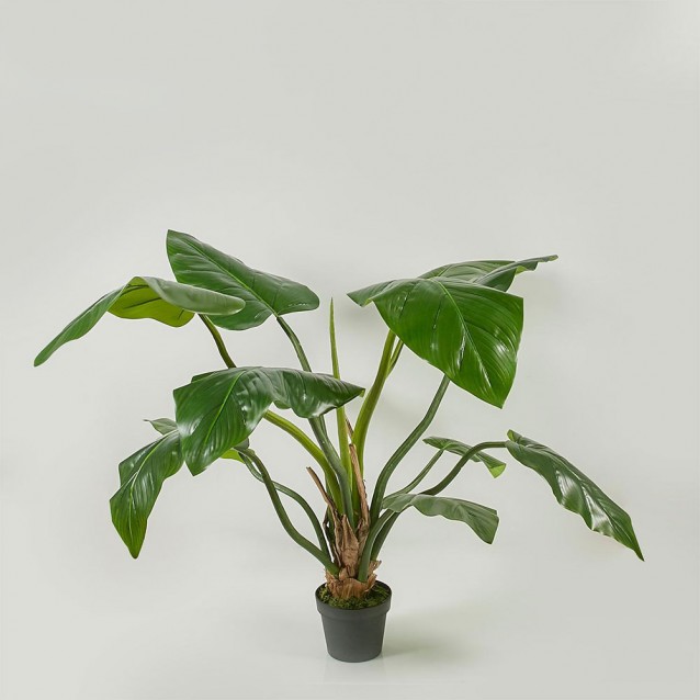 Planta decorativa Filodendron in ghiveci, verde, 138 cm - SIMONA'S Specials