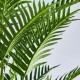 Palmier decorativ in ghiveci, 200 cm, Areca Dypsis - SIMONA'S Specials