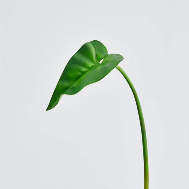 Frunza decorativa Calla, verde, 93 cm - SIMONA'S Specials
