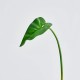 Frunza decorativa Calla, verde, 93 cm - SIMONA'S Specials