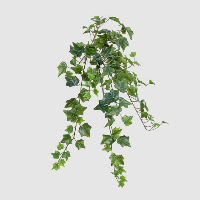 Planta decorativa Edera bell, verde, 71 cm - SIMONA'S Specials