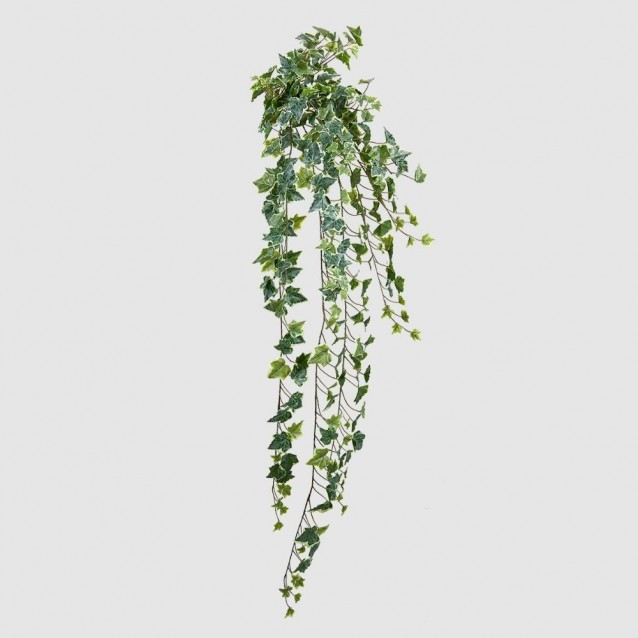 Planta decorativa Edera bell, verde, 130 cm - SIMONA'S Specials