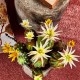 Cactus decorativ cu floare, ivoar, 25 cm, Riccio - SIMONA'S Specials