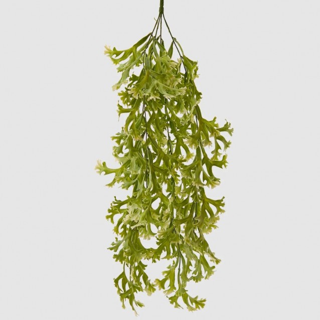Planta decorativa Platycerium, verde, 75 cm - SIMONA'S Specials