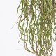 Planta decorativa Rhipsalis, verde, 84 cm - SIMONA'S Specials