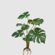 Planta decorativa Monstera, verde, 44 cm - SIMONA'S Specials
