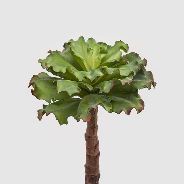 Planta suculenta decorativa West, verde, 36 cm - SIMONA'S Specials