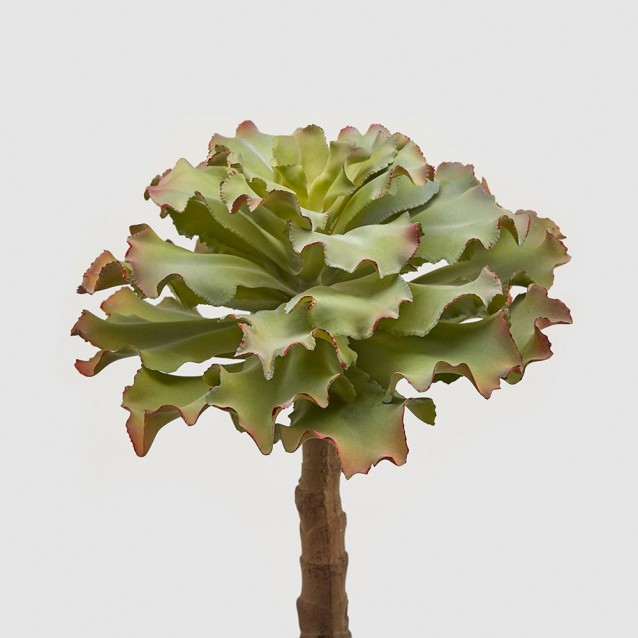 Planta suculenta decorativa West, verde, 38 cm - SIMONA'S Specials