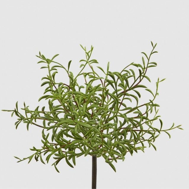 Ramura decorativa Portulacca, verde, 30 cm - SIMONA'S Specials