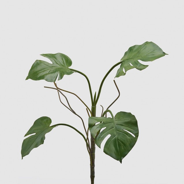 Ramura decorativa cu frunze Monstera, verde, 78 cm - SIMONA'S Specials