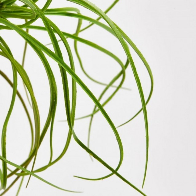 Ramura decorativa Tislandia, verde, 85 cm - SIMONA'S Specials