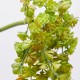 Floare decorativa Echeveria, verde, 44 cm - SIMONA'S Specials