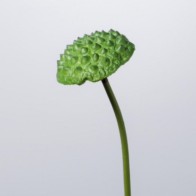 Floare decorativa boboc de nufar, verde, 80 cm - SIMONA'S Specials