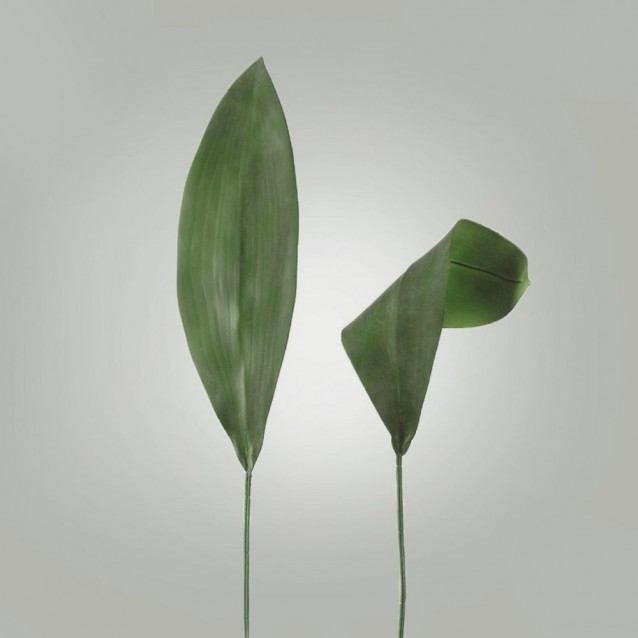Frunza decorativa Aspidistra, verde - SIMONA'S Specials