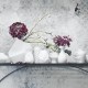 Vaza din portelan, alb mat, 10 cm, Phases by Dror Benshetrit - ROSENTHAL