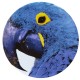 Farfurie de prezentare, Blue Macaw, Olhar o Brasil by Chicô Gouvêa - VISTA ALEGRE