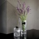 Vaza din cristal, Papillon Noir - VISTA ALEGRE