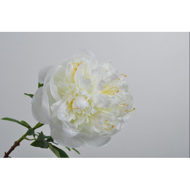 Silk-Ka Floare Bujor Alb 61cm